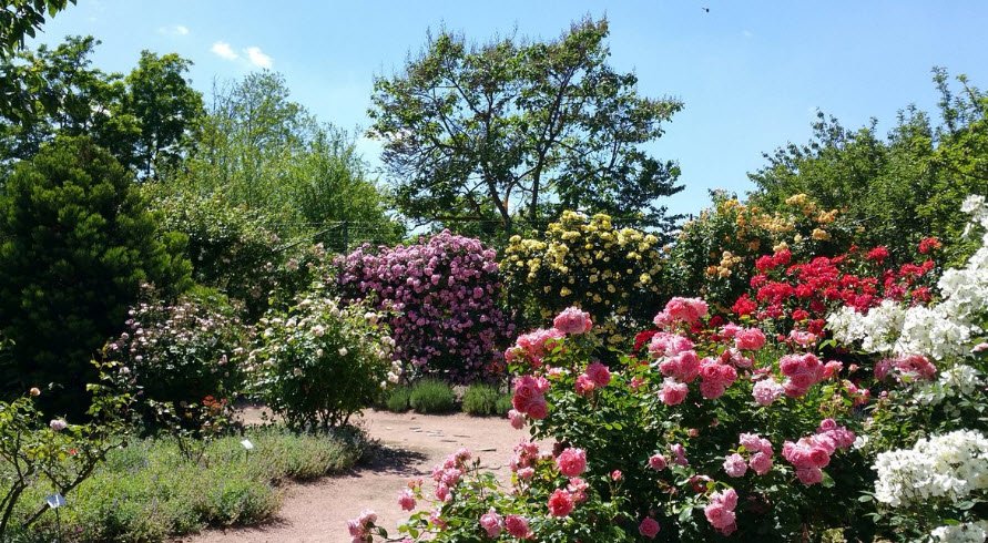Jardifort Jardinerie, Limoux, France, France